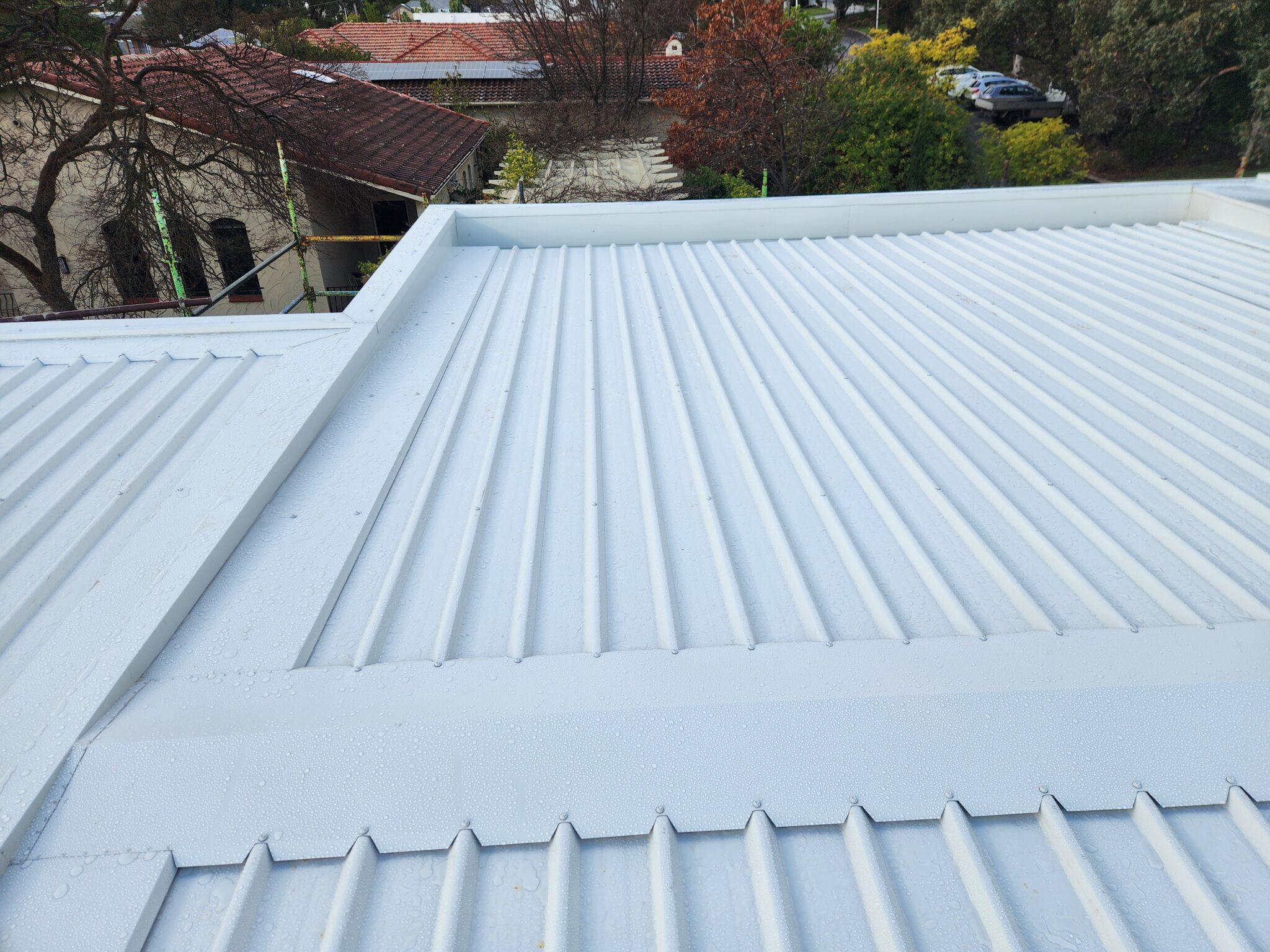Roof Maintenance